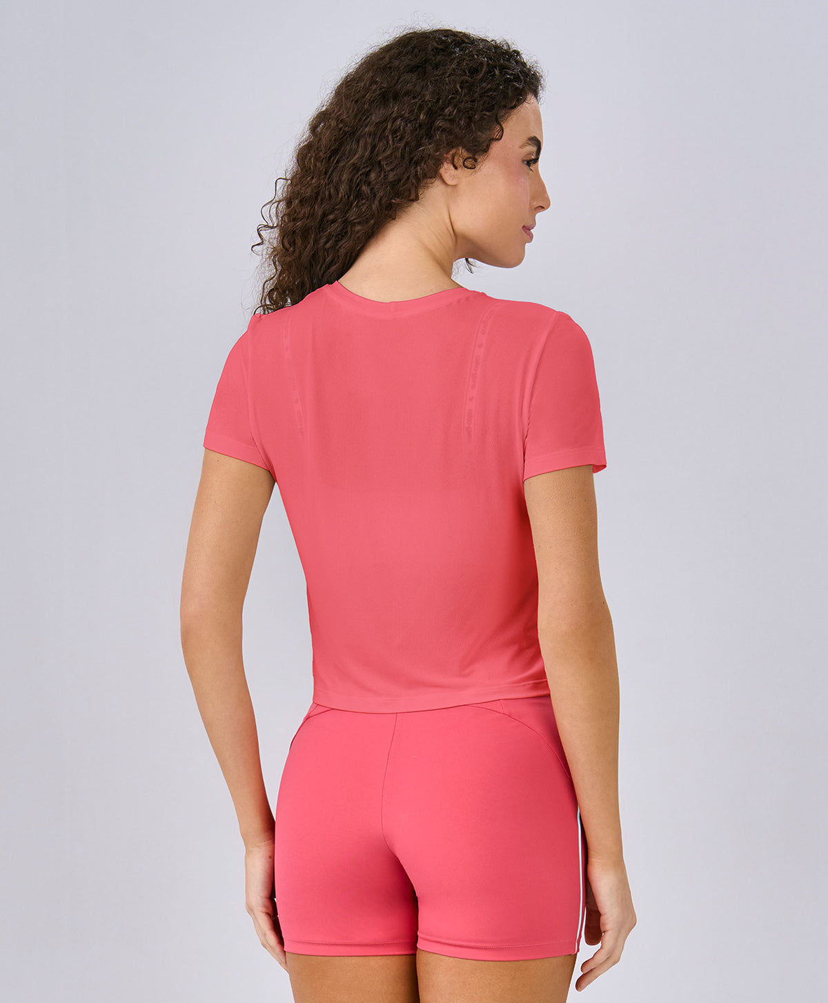 ROSA CAMELIA — foto 2